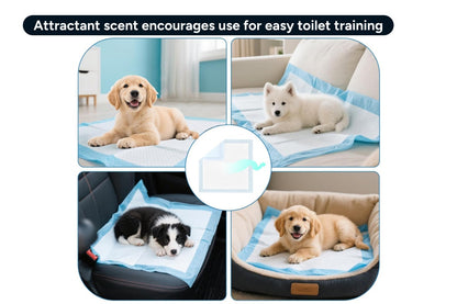 Pawever Pets Dog and Puppy Training Pads (100 Pack)