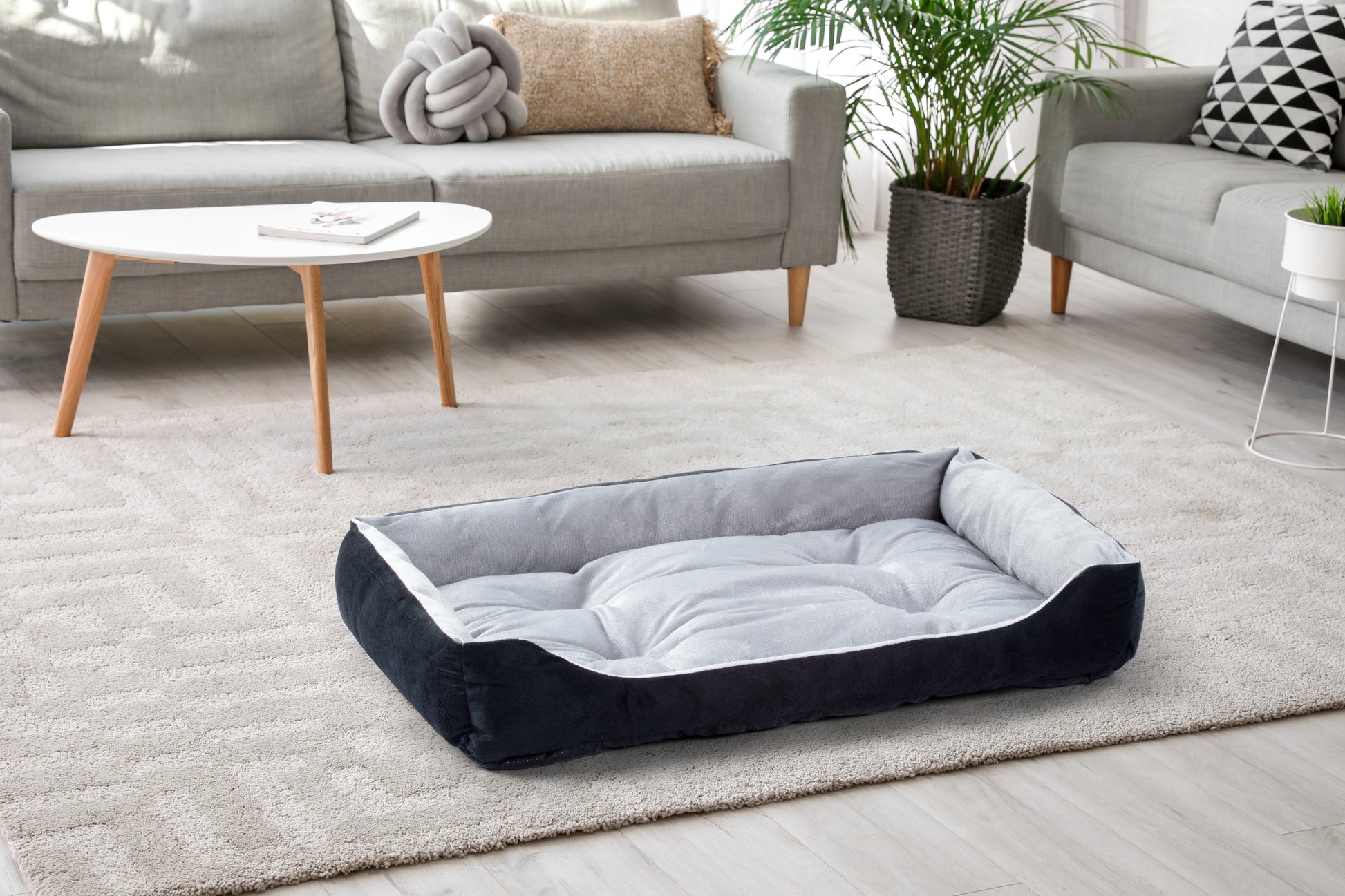 Pawever Pets Dog Bed (Large, 80cm)