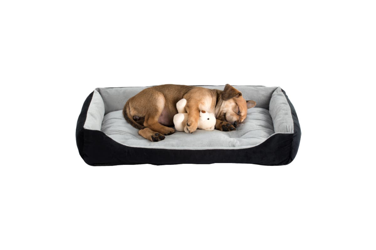 Pawever Pets Dog Bed (Large, 80cm)