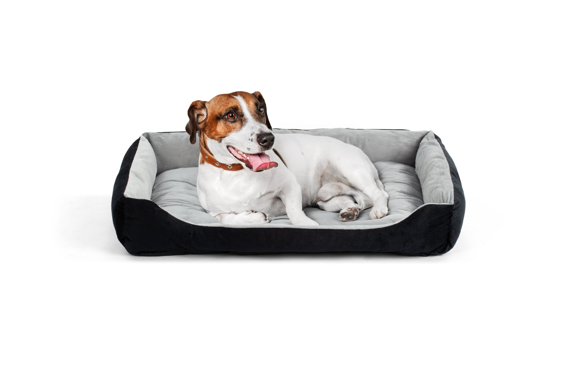 Pawever Pets Dog & Cat Bed (Large, 80cm)