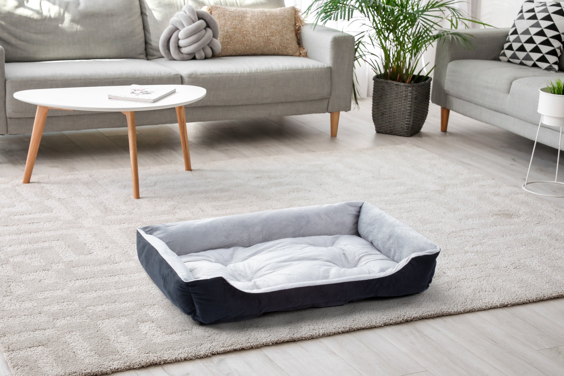 Pawever Pets Dog Bed (Medium, 72cm)