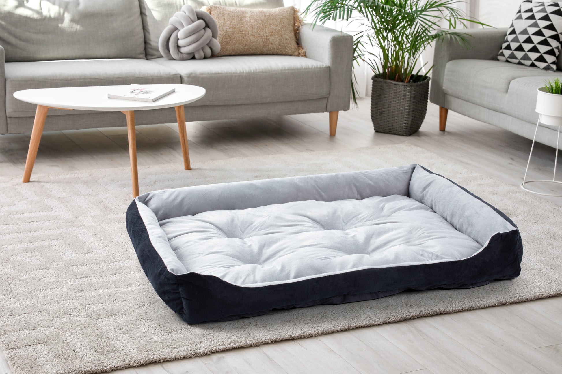 Pawever Pets Dog & Cat Bed (XXL, 120cm)