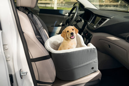 Pawever 1 Padded Dog Car Booster Seat