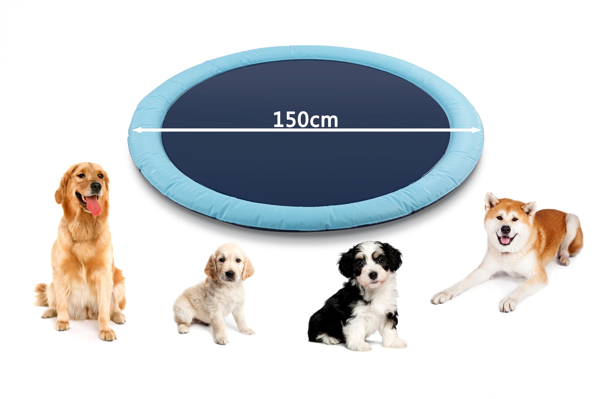 Pawever Pets Sprinkler Mat (Large)