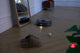 Roborock S8 MaxV Ultra Robot Vacuum (Official Australian Model)