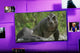 Kogan 40" LED Full HD Smart Roku TV - R95T