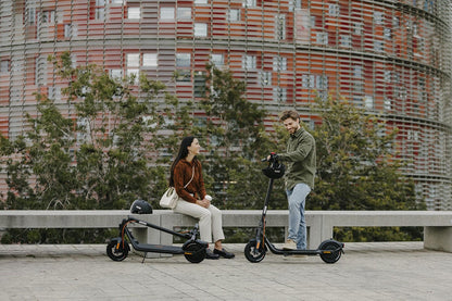 Segway-Ninebot Electric KickScooter F2 Plus