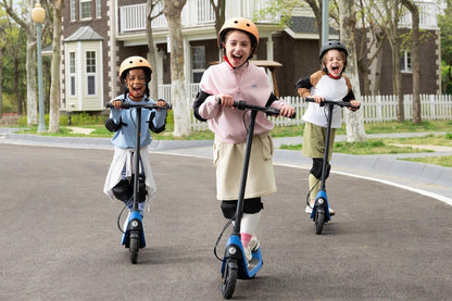 Segway-Ninebot Electric KickScooter C2 Lite