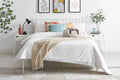 Shangri-La Dallas Bed Frame - Queen - White