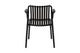 Set of 2 Shangri-La San Lucas Dining Armchairs (Black)