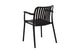 Set of 2 Shangri-La San Lucas Dining Armchairs (Black)