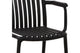 Set of 2 Shangri-La San Lucas Dining Armchairs (Black)