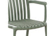 Set of 2 Shangri-La San Lucas Dining Armchairs (Green)