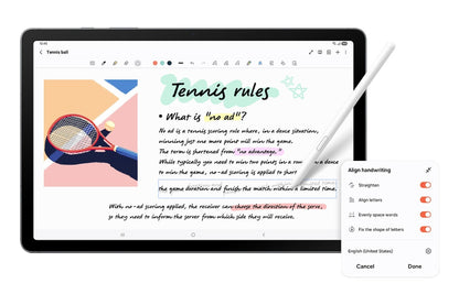 Samsung Galaxy Tab S10 Lite with S Pen (6GB, 128GB, Wi-Fi, Grey)