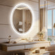 500x700mm LED Bathroom Mirror Oval Dimmable Anti-Fog – view 3