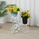 Set of 2 Plant Stand Wedding Garden Flower Shelf Rack – view 5