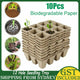 10pcs Biodegradable Seedling Trays 12-Hole Garden Starter – view 2