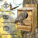 Owl Nesting Box Bird Feeder Paulownia Wood Acrylic – view 7