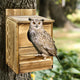 Owl Nesting Box Bird Feeder Paulownia Wood Acrylic – view 9