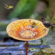 Solar Bird Bath Feeder Fountain Deck Post Mount – view 6