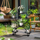 Rolling Metal Plant Stand Indoor Outdoor Garden Display Shelf – view 4