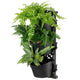 Tri vertical garden with 4 frames and 12 pots – view 6