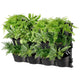 Tri vertical garden with 4 frames and 12 pots – view 10