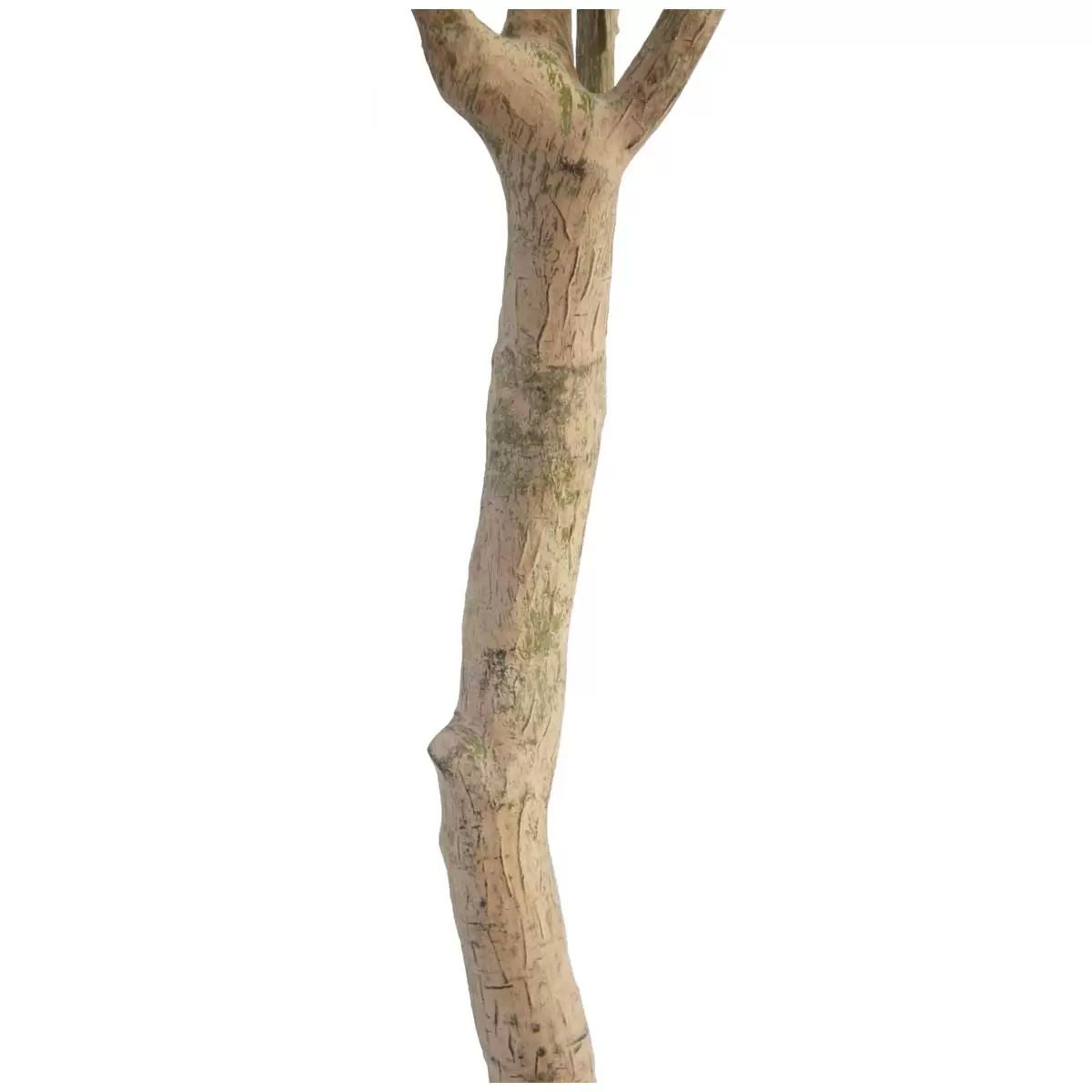 Artificial Olive Tree Decoration Piece -  2 M