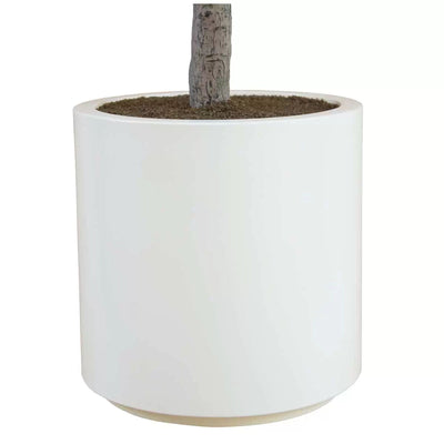 Artificial Olive Tree Decoration Piece -  2 M