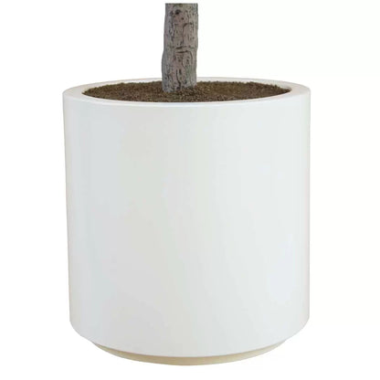 Artificial Olive Tree Decoration Piece -  2 M