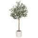 Artificial Olive Tree Decoration Piece -  2 M – view 4