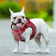 Floral Doggy Harness Red M – view 4