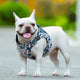 Floral Doggy Harness Saxony Blue L – view 4