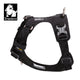 Lightweight Harness Black XL – view 3
