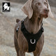 Lightweight Harness Black XL – view 4