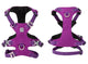 Whinhyepet Harness Purple XS - Auzzistore