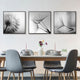 Wall Art 50cmx50cm Botanical dandelions 3 Sets Black Frame Canvas – view 3