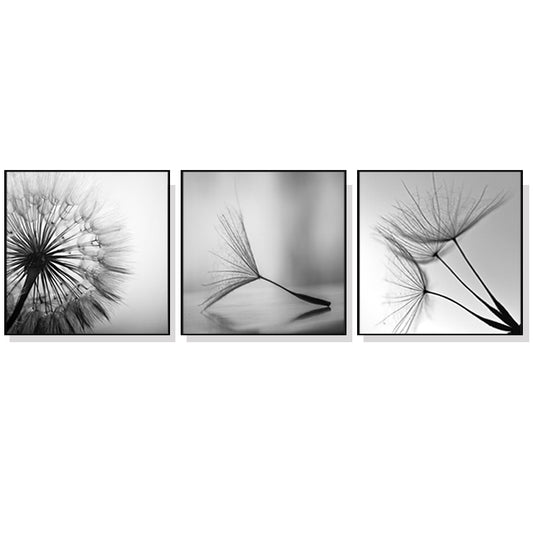 Wall Art 70cmx70cm Botanical dandelions 3 Sets Black Frame Canvas - Auzzistore
