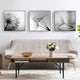 Wall Art 70cmx70cm Botanical dandelions 3 Sets Black Frame Canvas – view 4