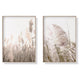 Wall Art 40cmx60cm Pampas Grass 2 Sets Wood Frame Canvas