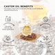 1.5L Organic Castor Oil - Hexane Free Cold Pressed Anti Oxidant Skin Hair Care – view 4
