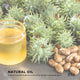 1.5L Castor Oil - Hexane Free Cold Virgin Pressed Skin Hair Care – view 6