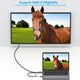 BENFEI 344GY-3M HDMI to DisplayPort Unidirectional 4K Active Cable with USB Powered 3M – view 3