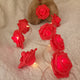 Red Rose battery string fairy light - party night light wedding decoration – view 4
