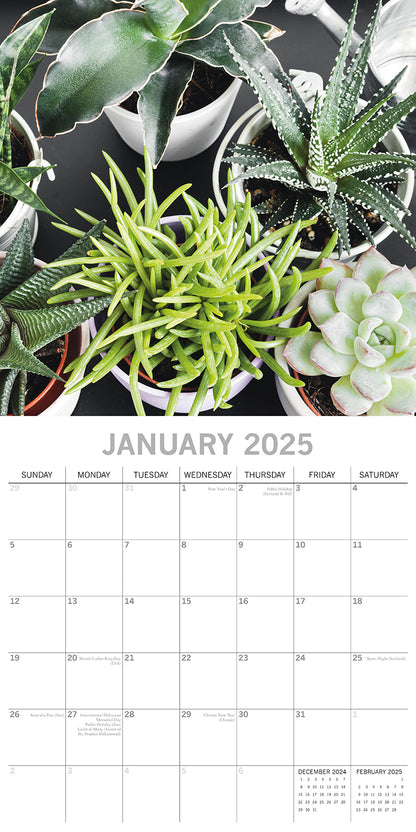 House Plants - 2025 Square Wall Calendar Floral 16 Months Premium Planner Gift
