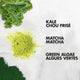 Shea Moisture Moringa & Avocado Power Greens Conditioner 384ml – view 7