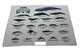 TYPES OF WHALES A4 Matte Laminated Poster Print Fish - 210mm x 297mm – view 3