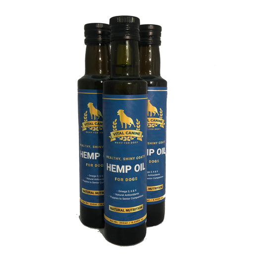 Vital Canine | Hemp Oil For Dogs | 125ml - Auzzistore