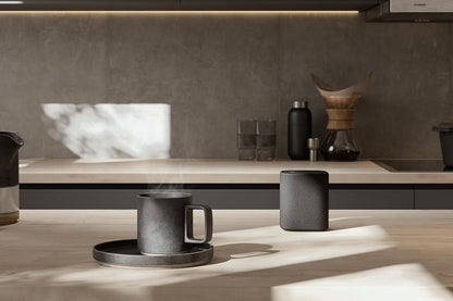 Yamaha True X Portable Wireless Speaker (WS-X1A)