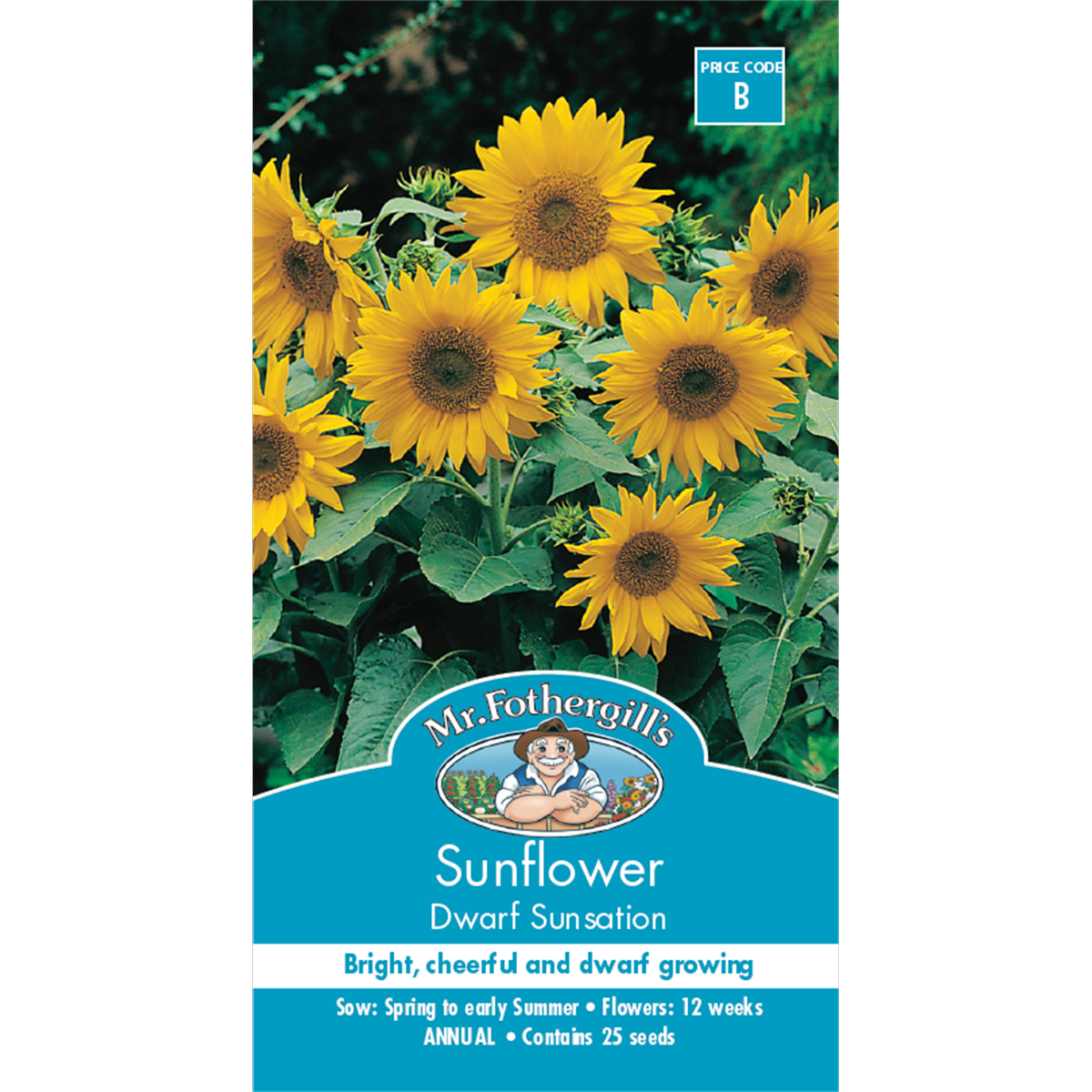 Mr Fothergill Sunflower Dwarf Sunsation Seeds 45cm Seed Quick Flower